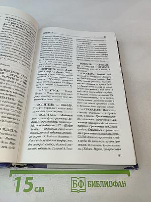 Словарь синонимов русского языка