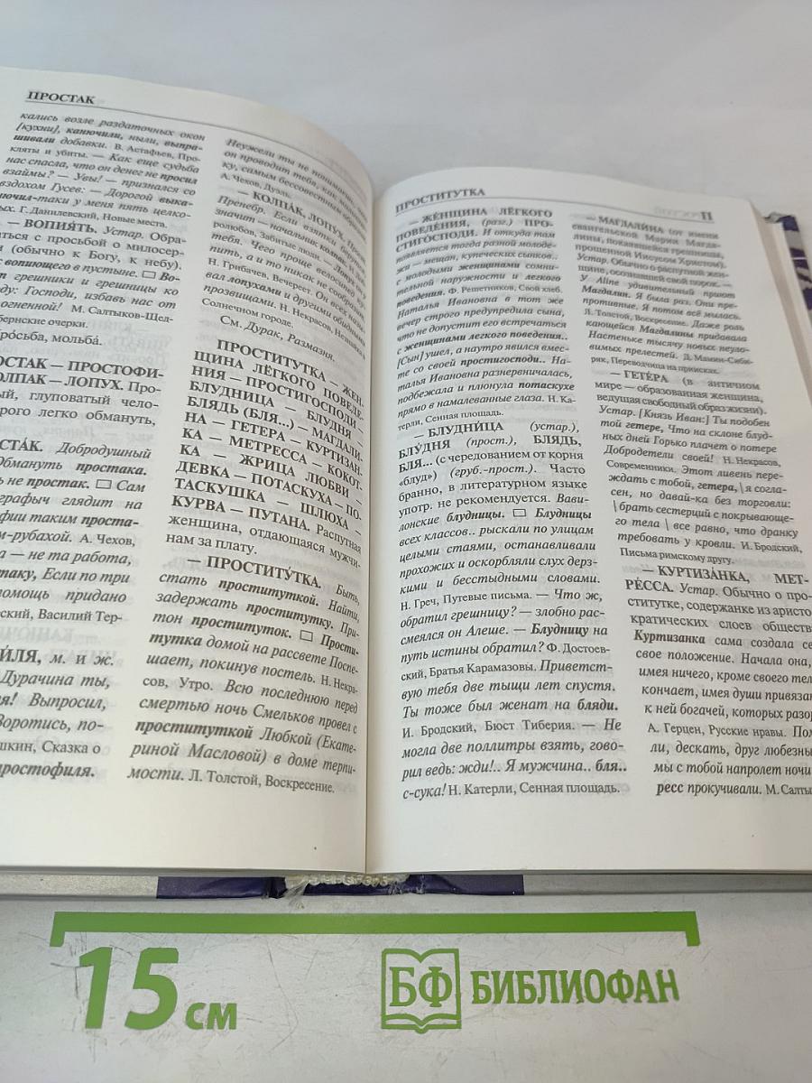 Словарь синонимов русского языка