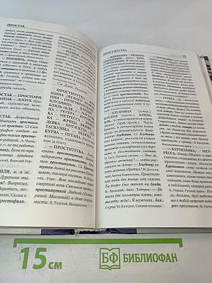 Словарь синонимов русского языка