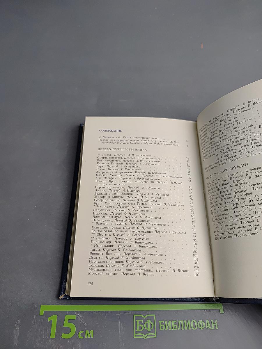 Что за поезд придет?