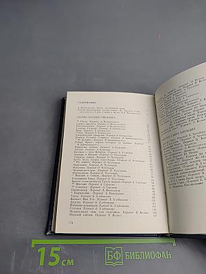 Что за поезд придет?