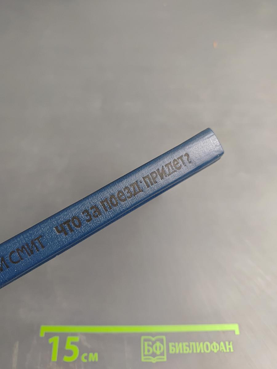 Что за поезд придет?