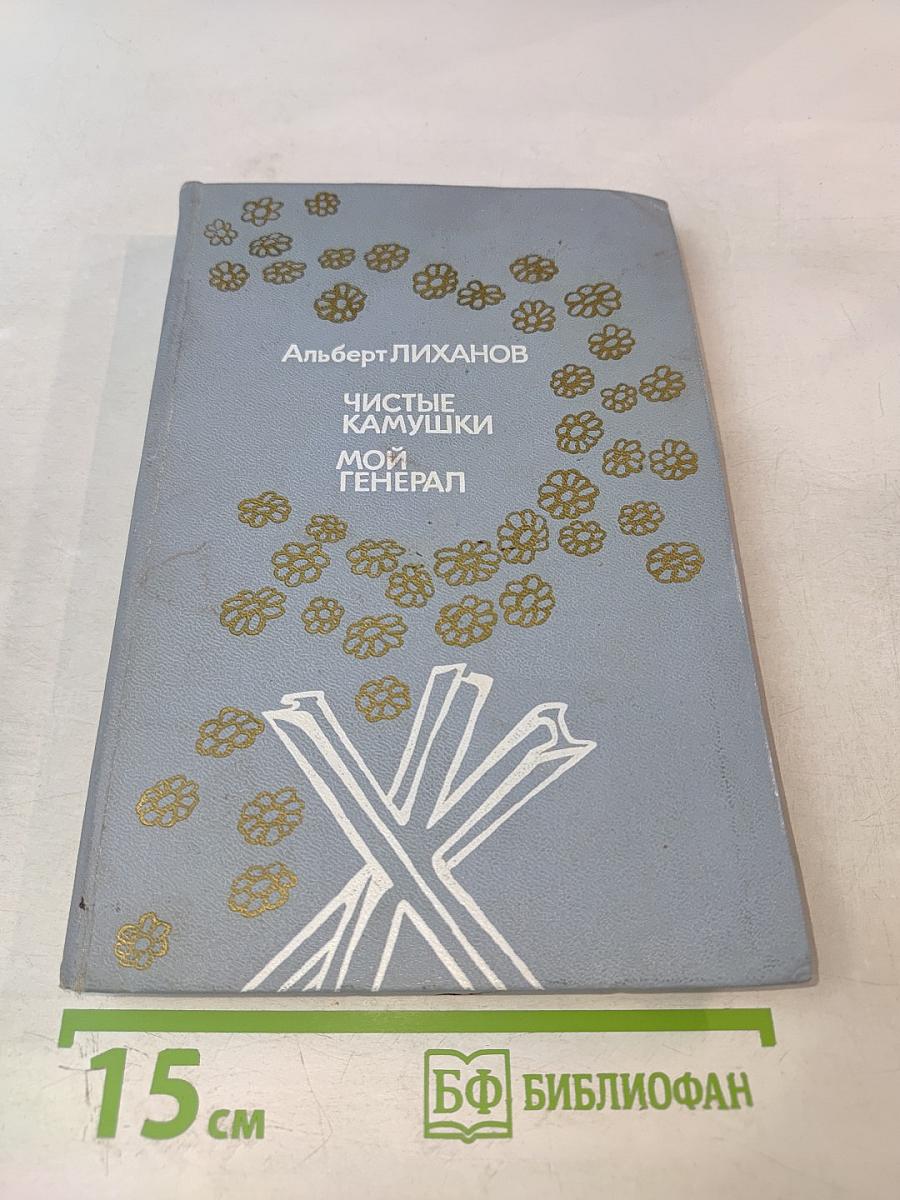 Чистые Камушки. Мой Генерал