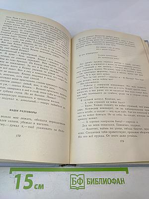 Чистые Камушки. Мой Генерал