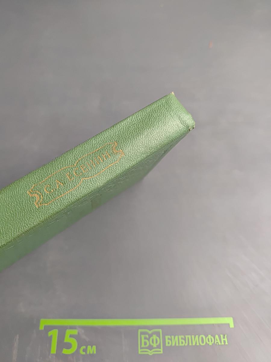 Собрание сочинений в шести томах. Том IV. Стихотворения, не вошедшие в основное собрание