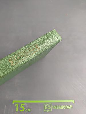 Собрание сочинений в шести томах. Том IV. Стихотворения, не вошедшие в основное собрание