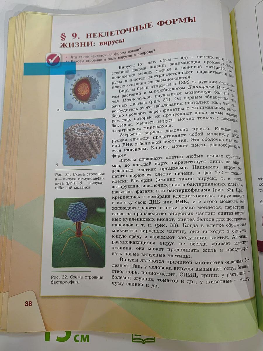 Биология 9 класс
