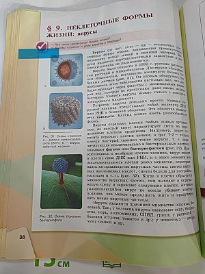 Биология 9 класс