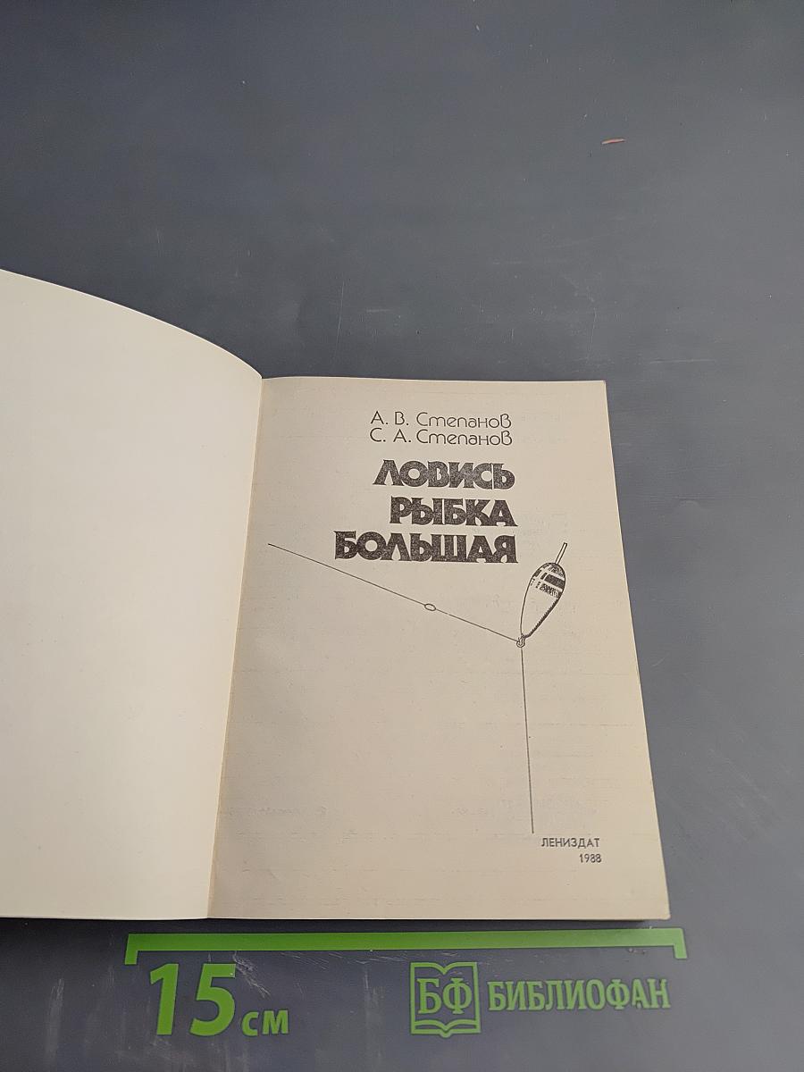 Ловись рыбка большая