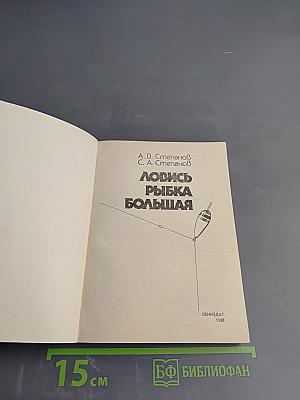 Ловись рыбка большая