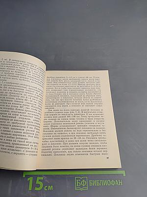 Ловись рыбка большая