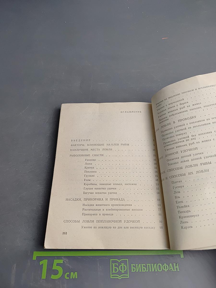 Ловись рыбка большая