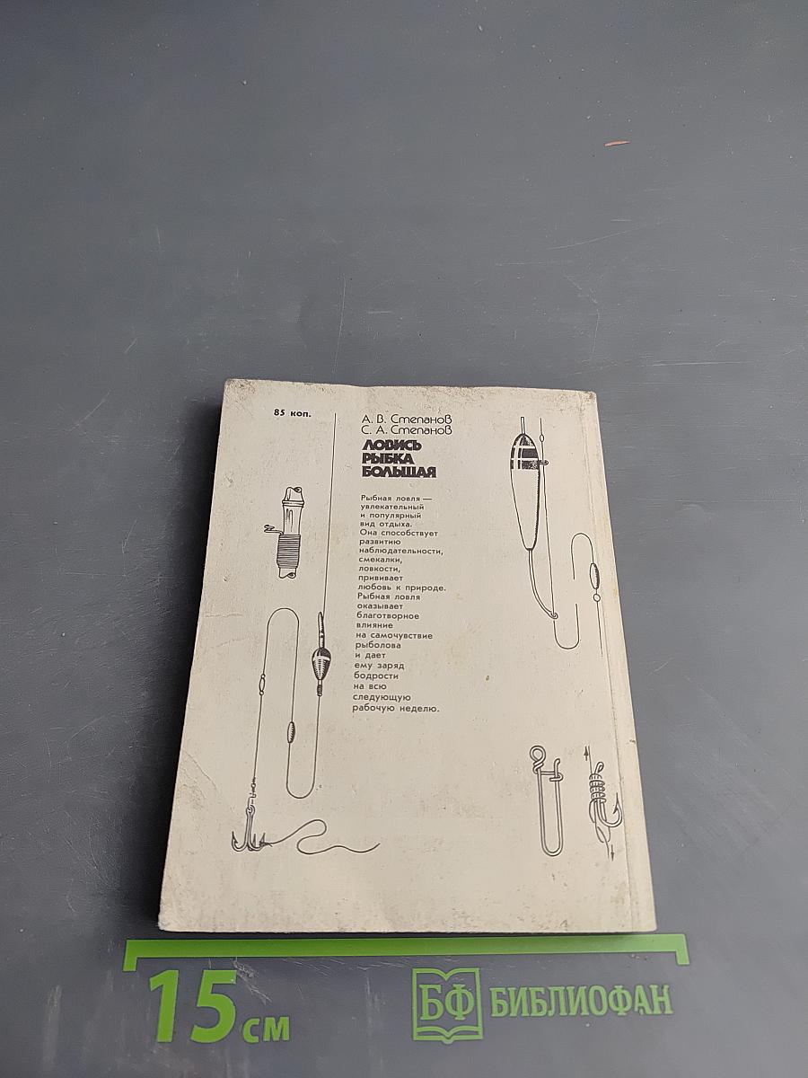 Ловись рыбка большая