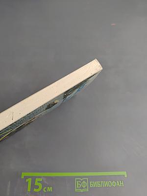 Ловись рыбка большая