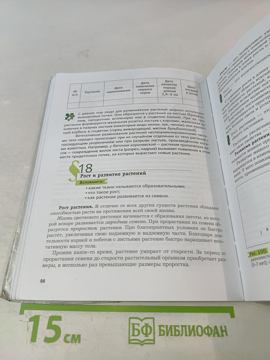Биология 6 класс