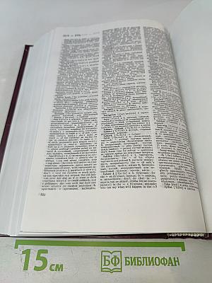 Новый большой англо-русский словарь. Том 1 А-F