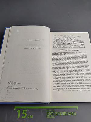 Сказка моего детства