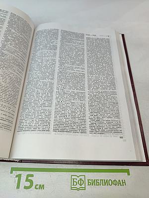 Новый большой англо-русский словарь. Том 3. R-Z