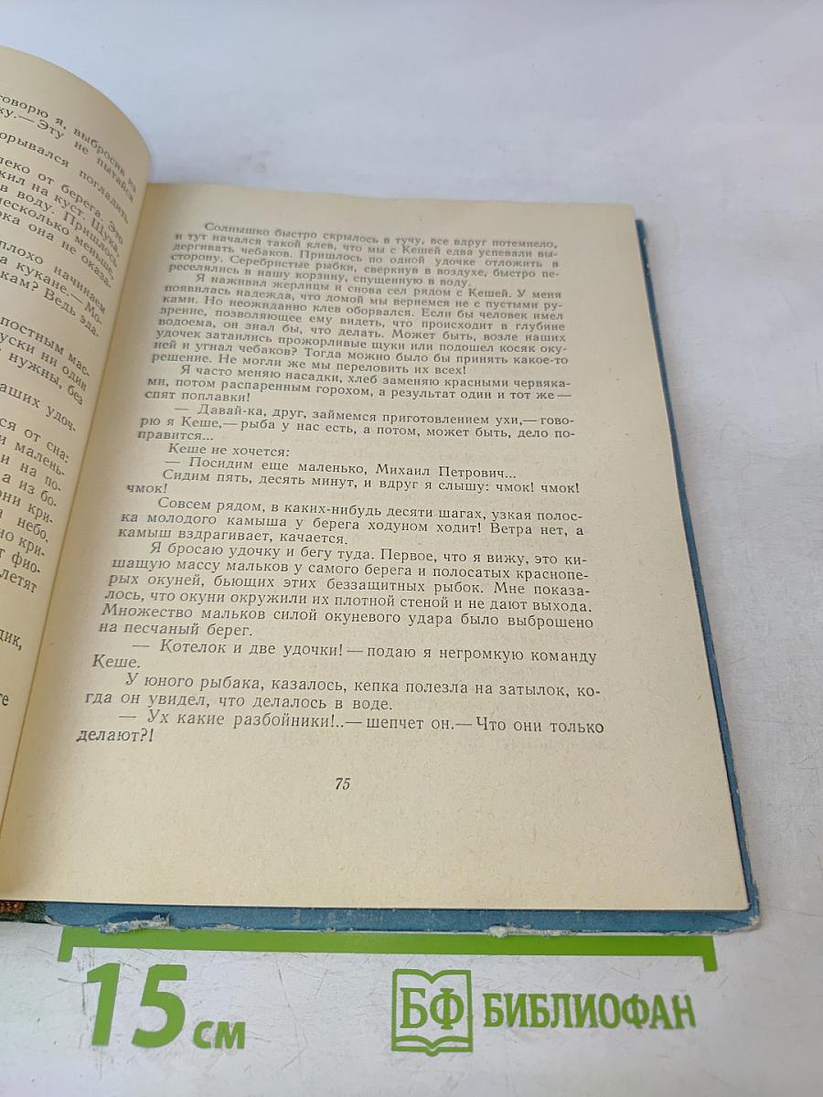 Солнечный круг