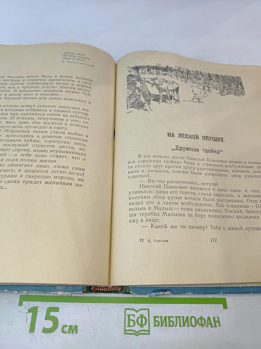 Солнечный круг