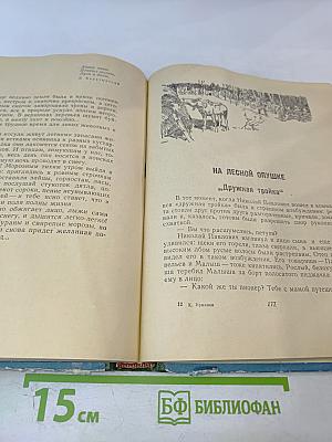 Солнечный круг