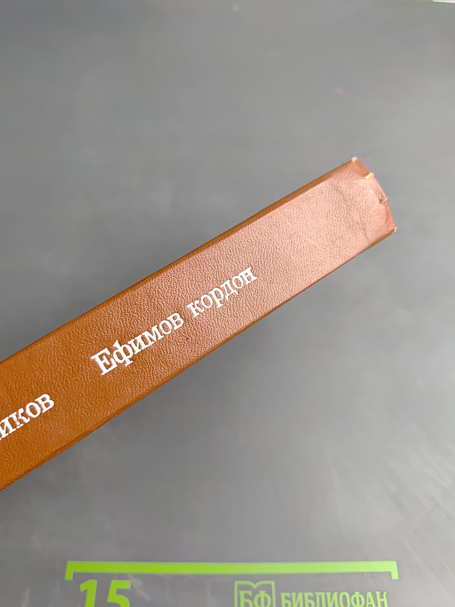 Ефимов кордон