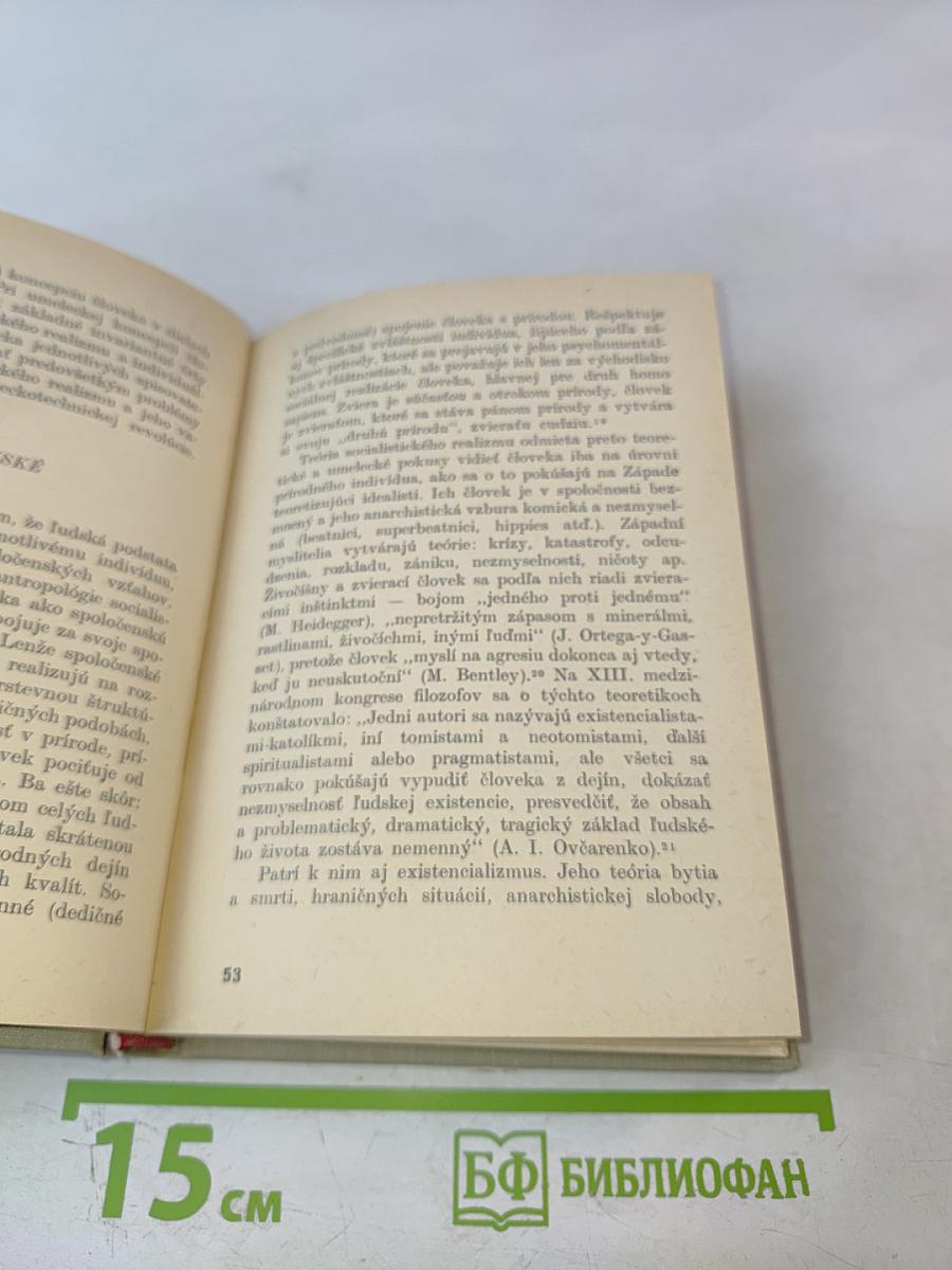 Socialistický realizmus v diskusii