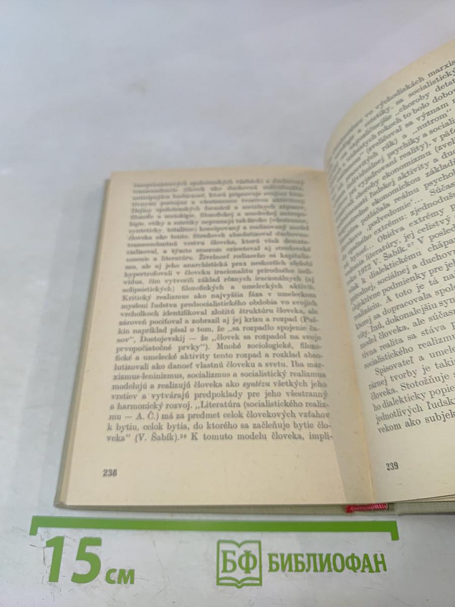 Socialistický realizmus v diskusii