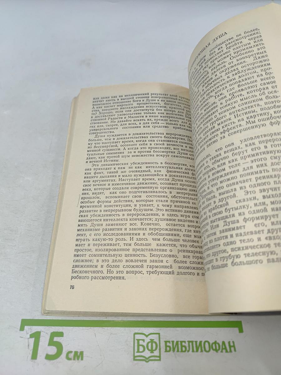 Супраментальное проявление на Земле. Перерождение и карма