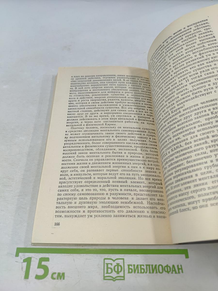 Супраментальное проявление на Земле. Перерождение и карма