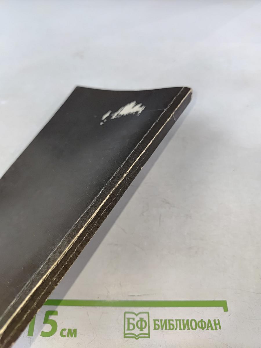 Супраментальное проявление на Земле. Перерождение и карма