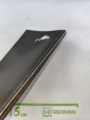 Супраментальное проявление на Земле. Перерождение и карма