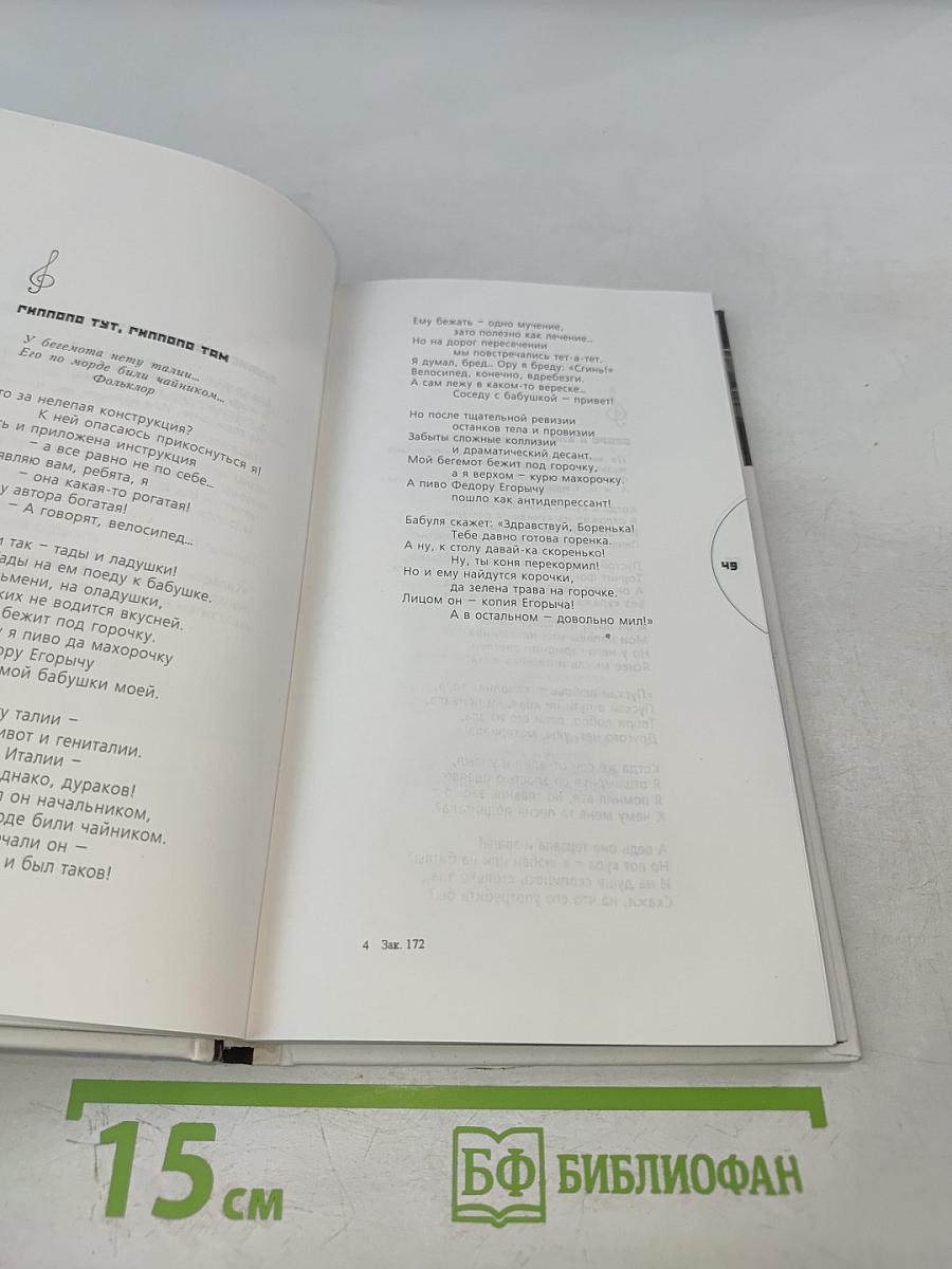 Черный шар: стихи и песни