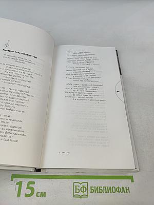 Черный шар: стихи и песни