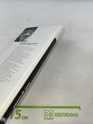 Черный шар: стихи и песни