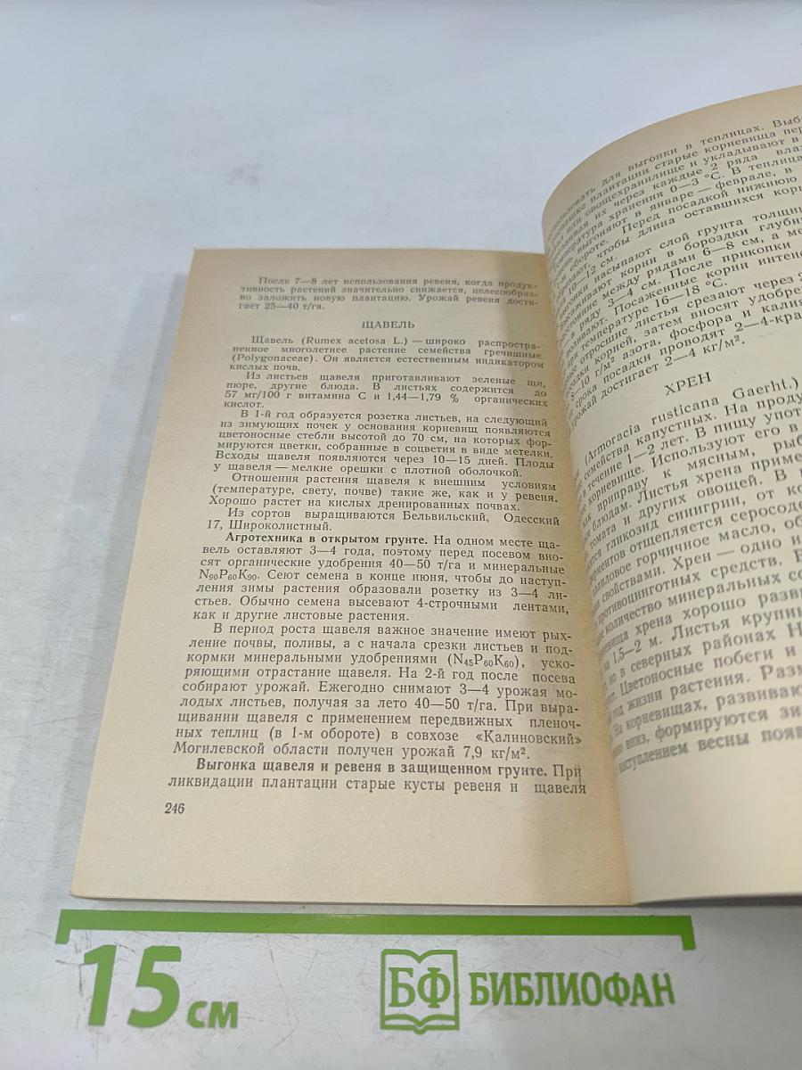 Производство овощей в Нечерноземье