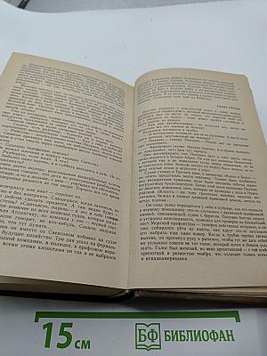 Киммерийское лето. Южный крест