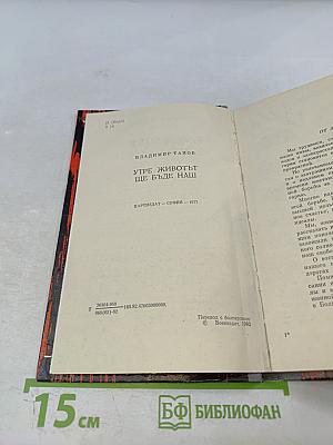 Будущее за нами