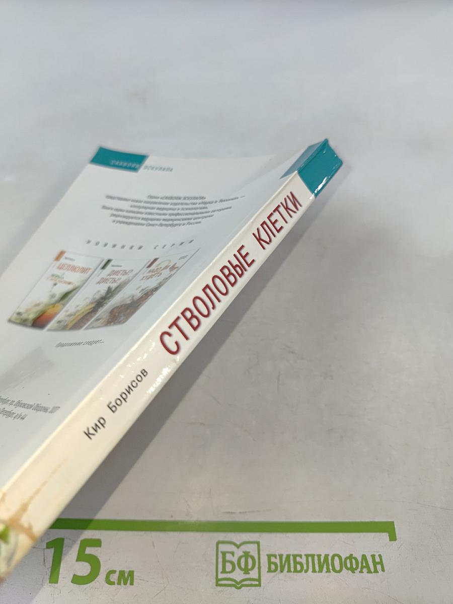 Стволовые клетки. Правда и мифы