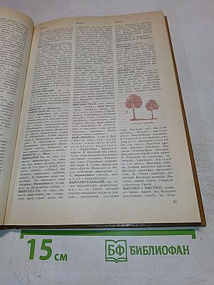 Краткий толковый словарь русского языка