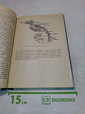 Рассказ о жизни рыб