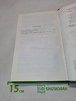 После выстрела "Авроры"; Барельеф на скале