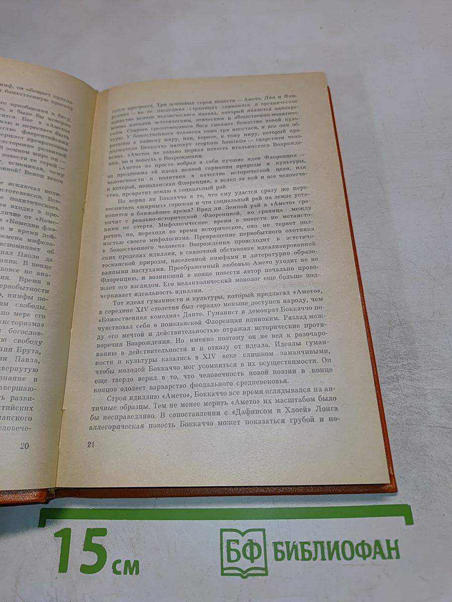 Боккаччо Амето Фьяметта