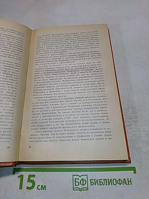 Боккаччо Амето Фьяметта