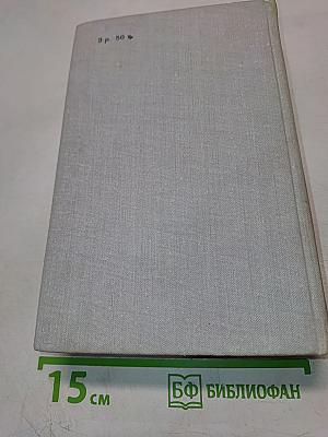 Виконт де Бражелон, или Десять лет спустя. Части 5, 6. Том III