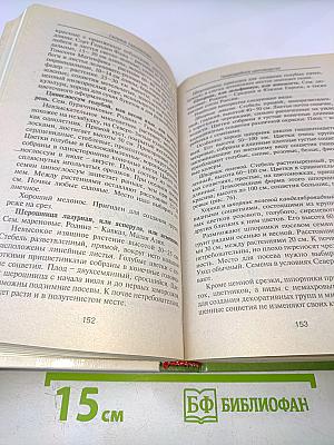 Приусадебное цветоводство