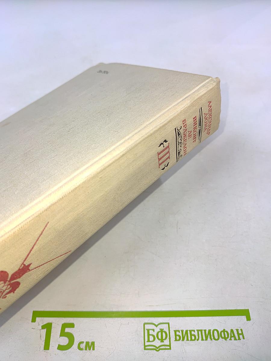 Виконт де Бражелон, или Десять лет спустя. Части 5, 6. Том III