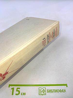 Виконт де Бражелон, или Десять лет спустя. Части 5, 6. Том III