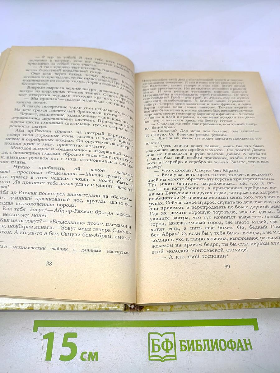 К последнему морю. Юность полководца