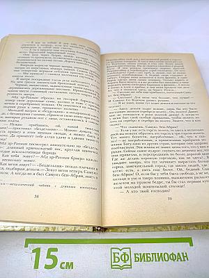 К последнему морю. Юность полководца